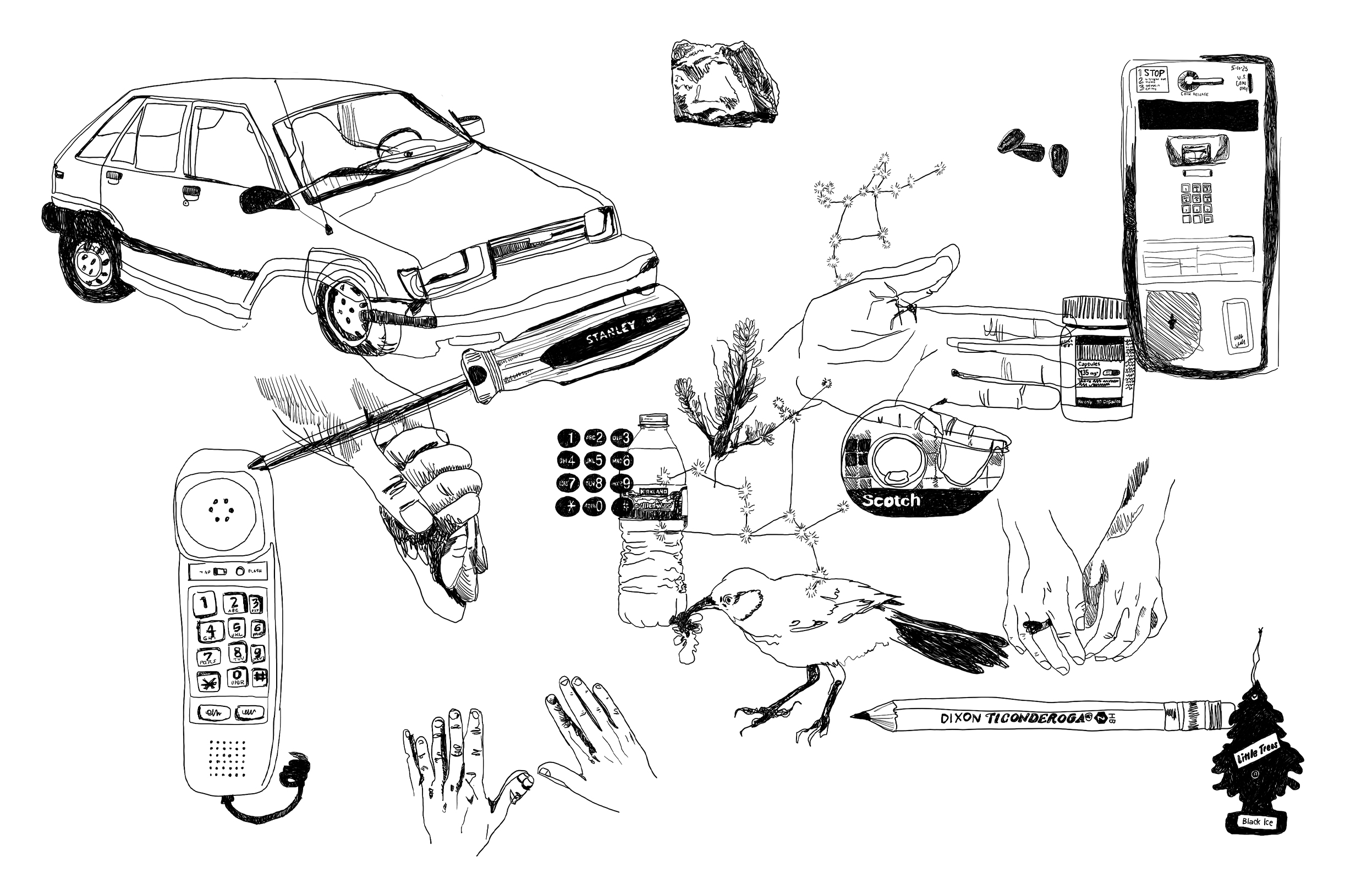 A THOUSAND WAYS illustration by Cass Sachs-Michaels